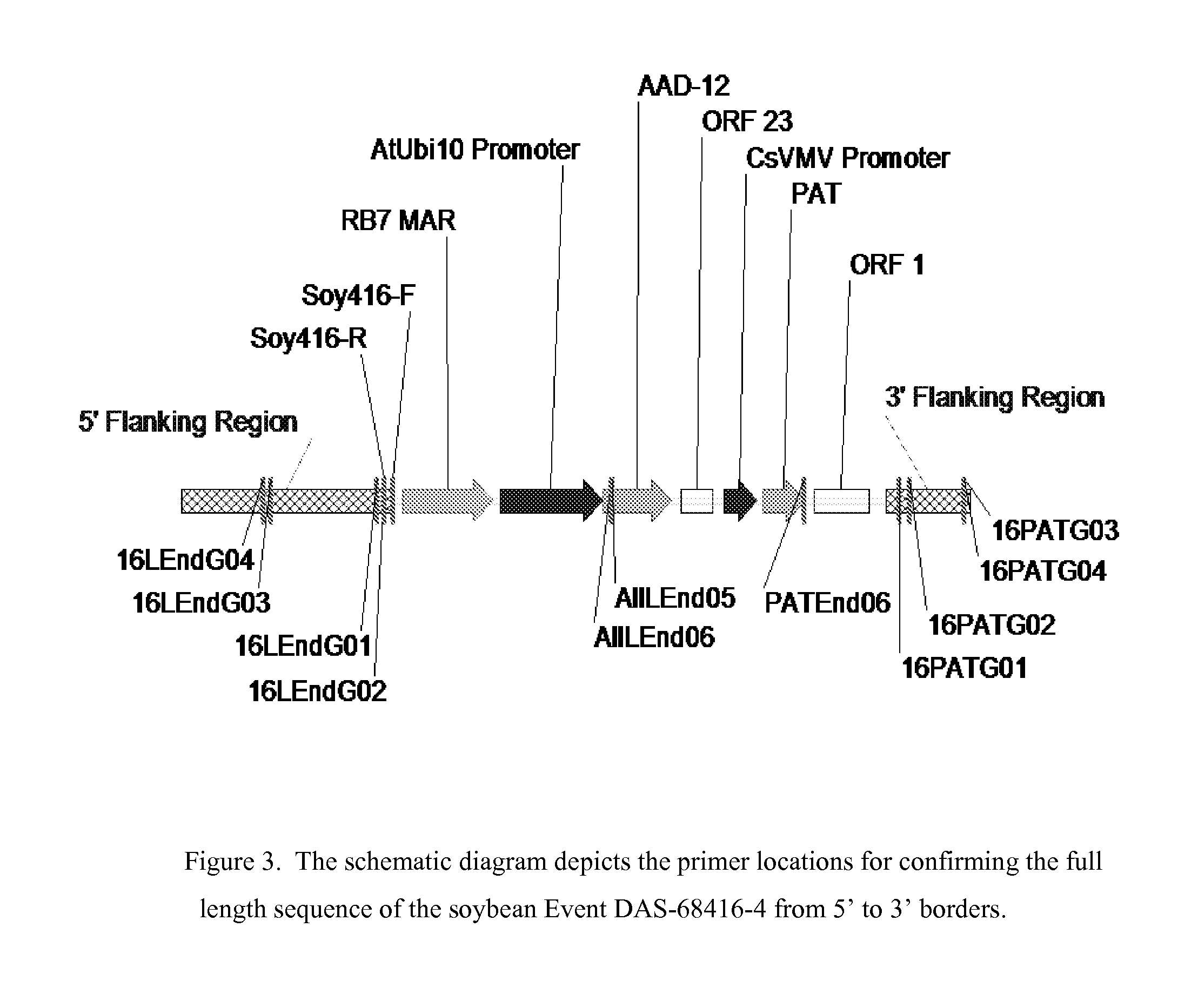 Detection of aad-12 soybean event 416