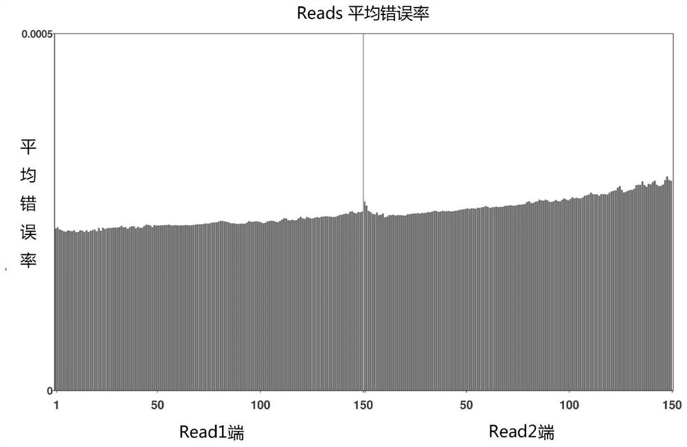 High-throughput sequencing quality control analysis method capable of quickly and automatically feeding back results through mails in batches on basis of snakemake language