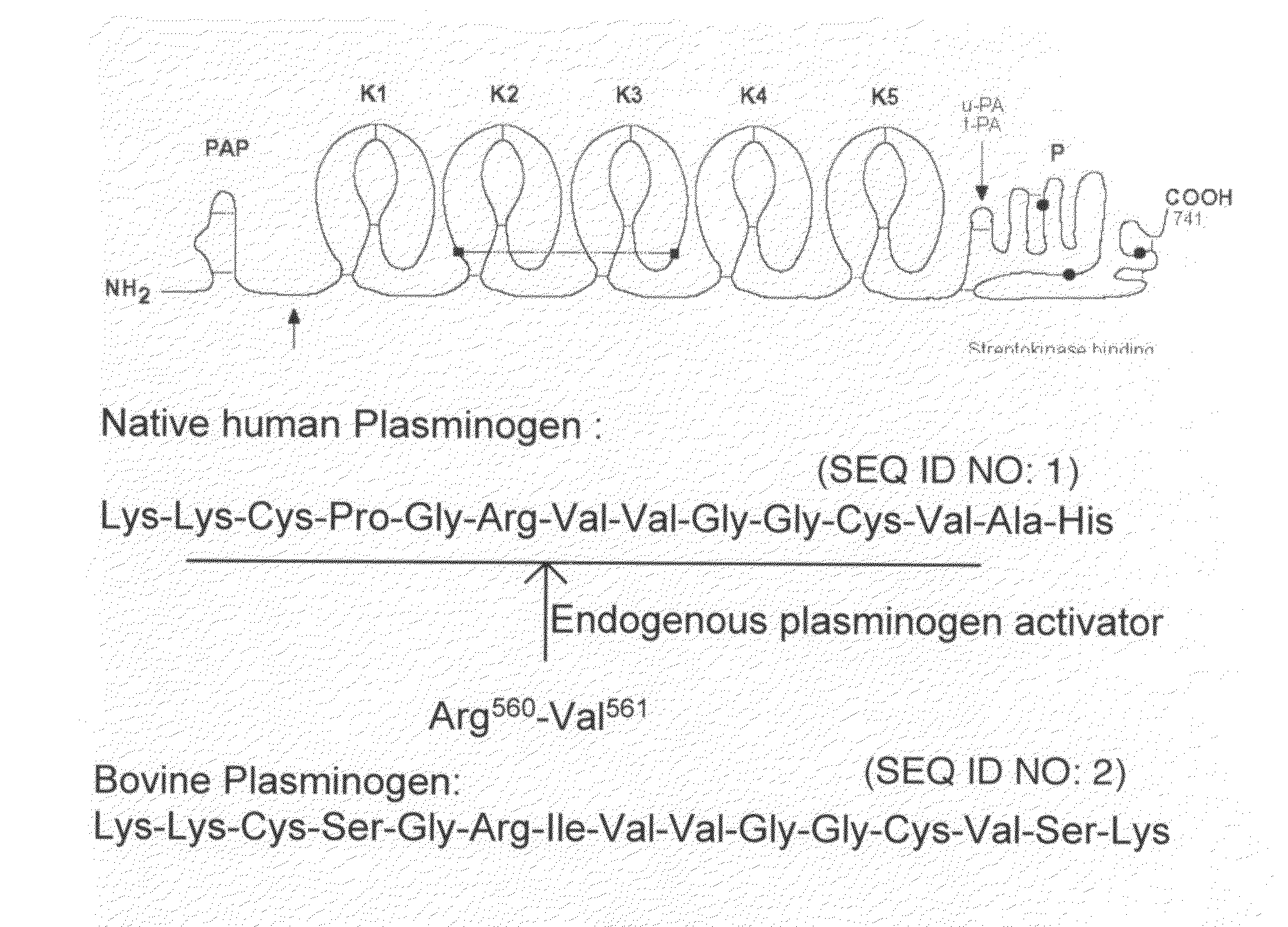 Substrate peptide sequences for plague plasminogen activator and uses thereof