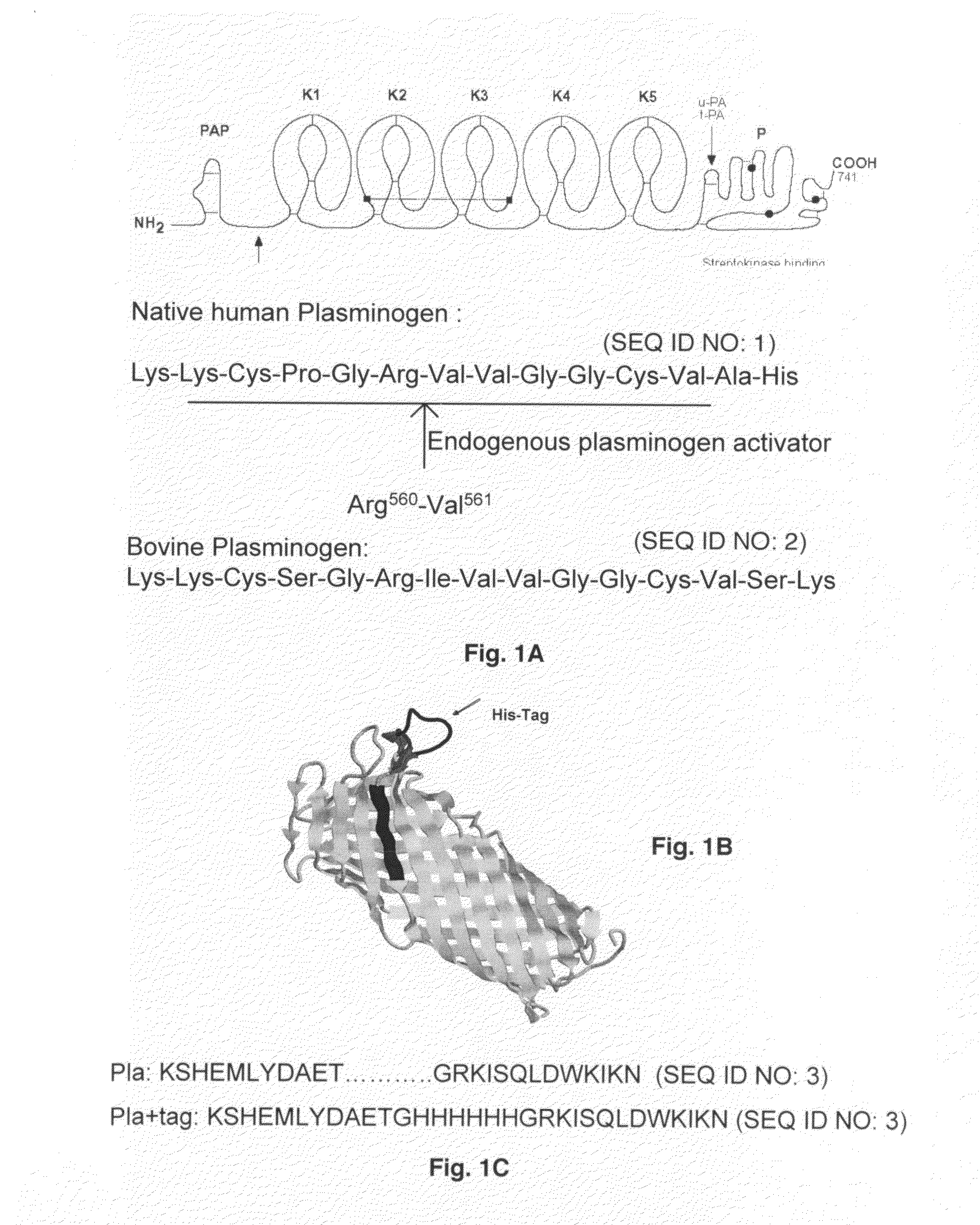 Substrate peptide sequences for plague plasminogen activator and uses thereof