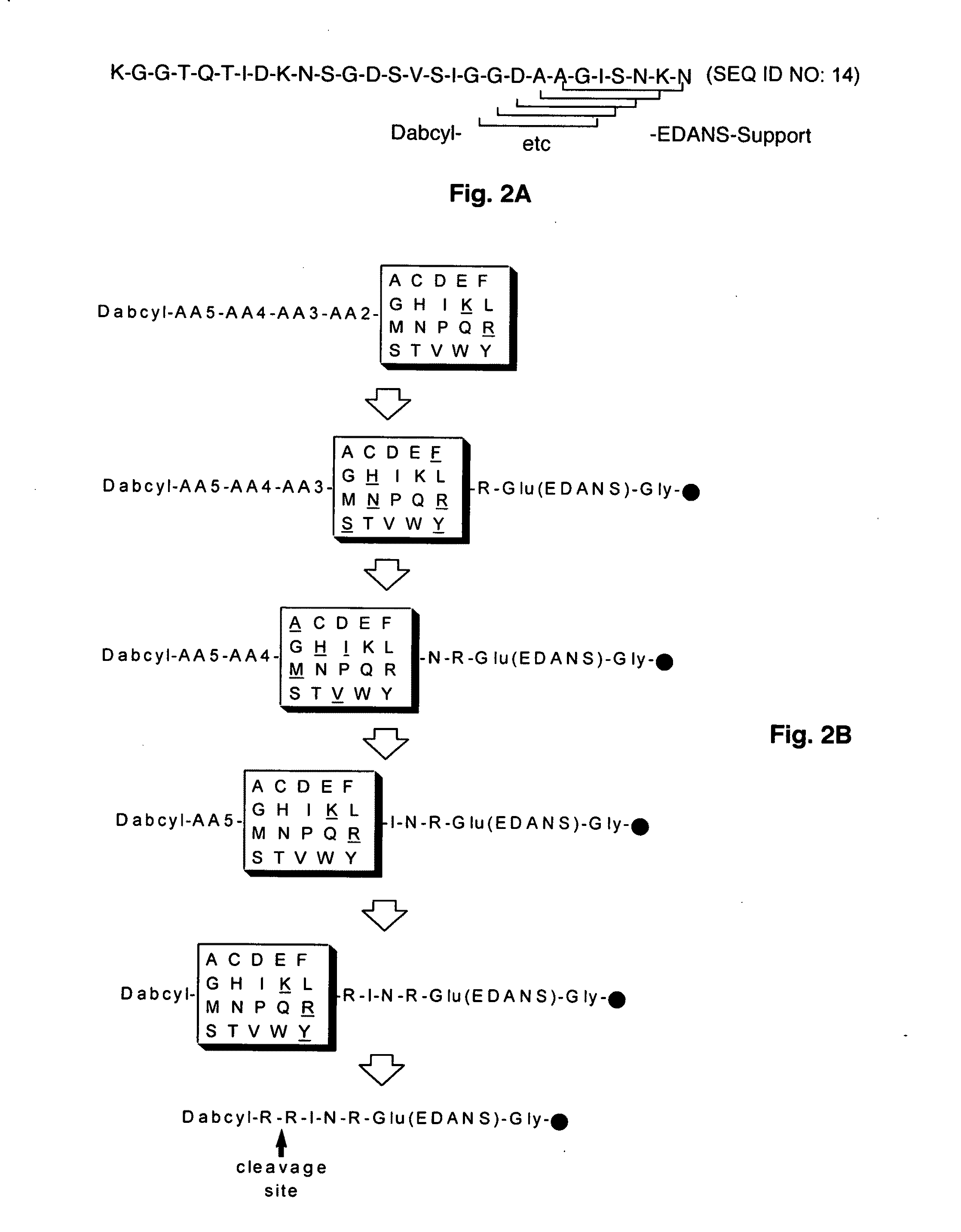 Substrate peptide sequences for plague plasminogen activator and uses thereof