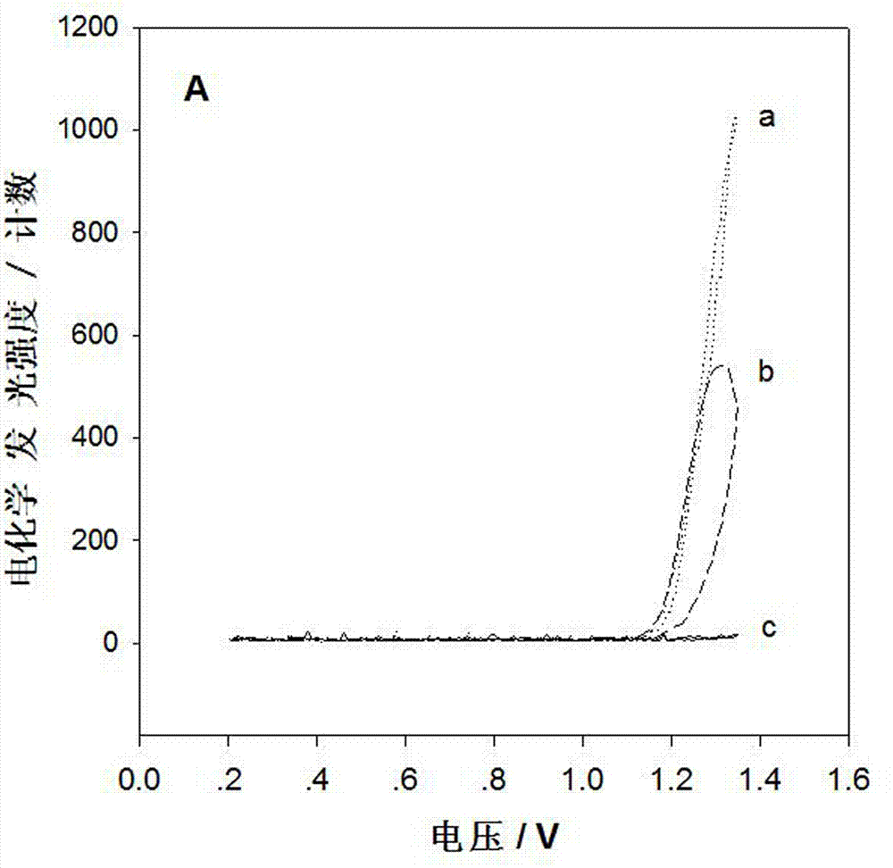 DNA aptamer of small cell lung cancer marker gastrin releasing peptide precursor polypeptide fragment