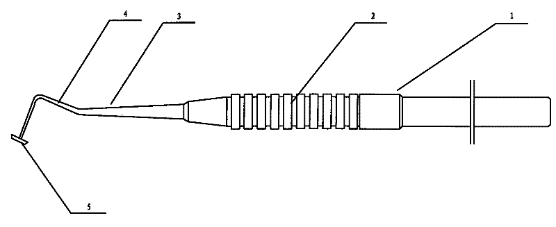 Pulp chamber roof detector