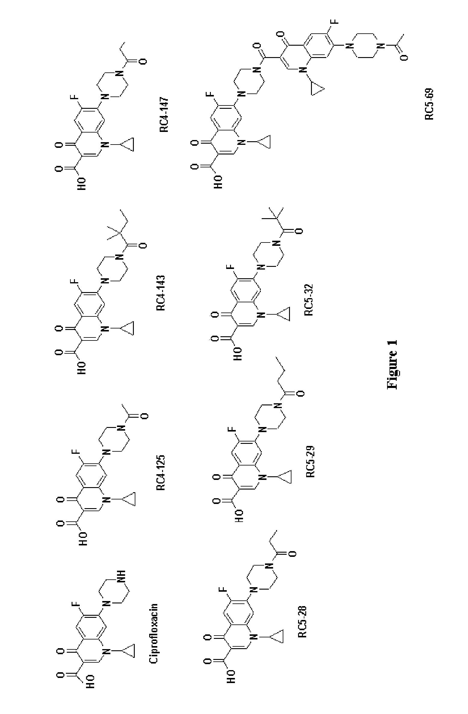 Activity of new N-acylated ciprofloxacin derivatives against faculative intracellular bacteria