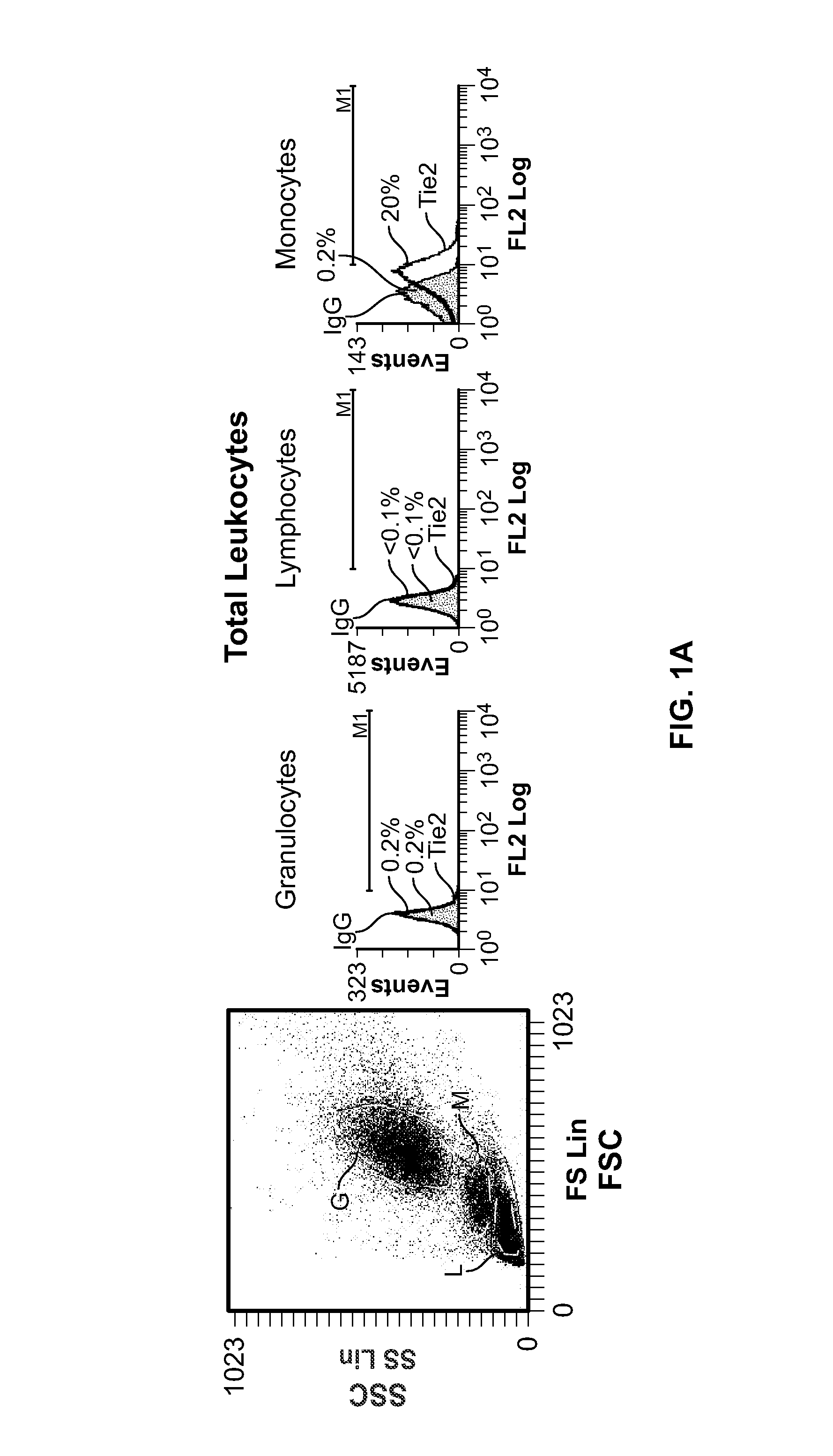 Monocyte cell