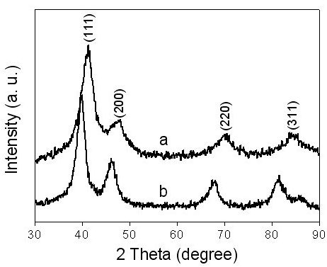 Preparation method of direct methanol fuel cell anode catalyst