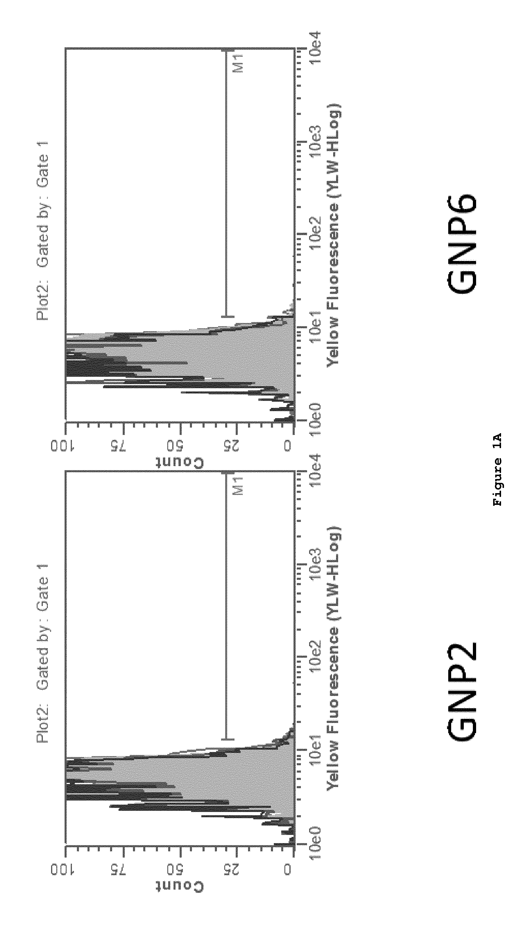 Nanoparticle-peptide compositions