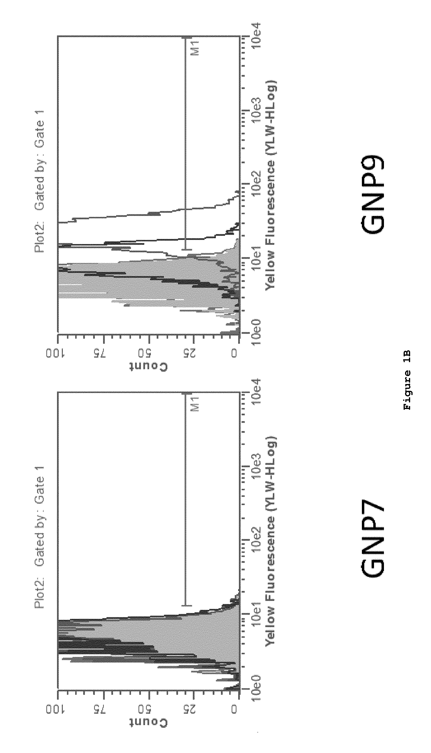 Nanoparticle-peptide compositions