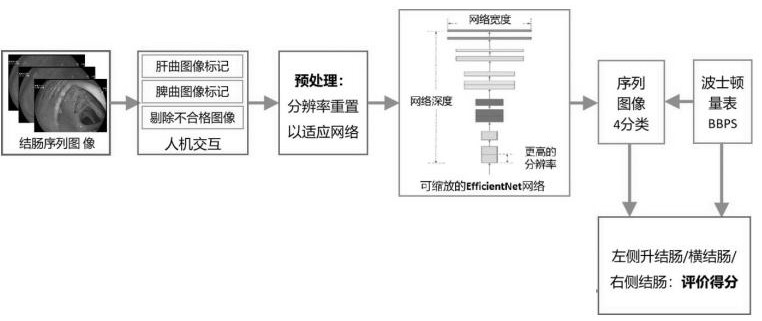 Coloscope image evaluation method and system based on OfficientNet structure