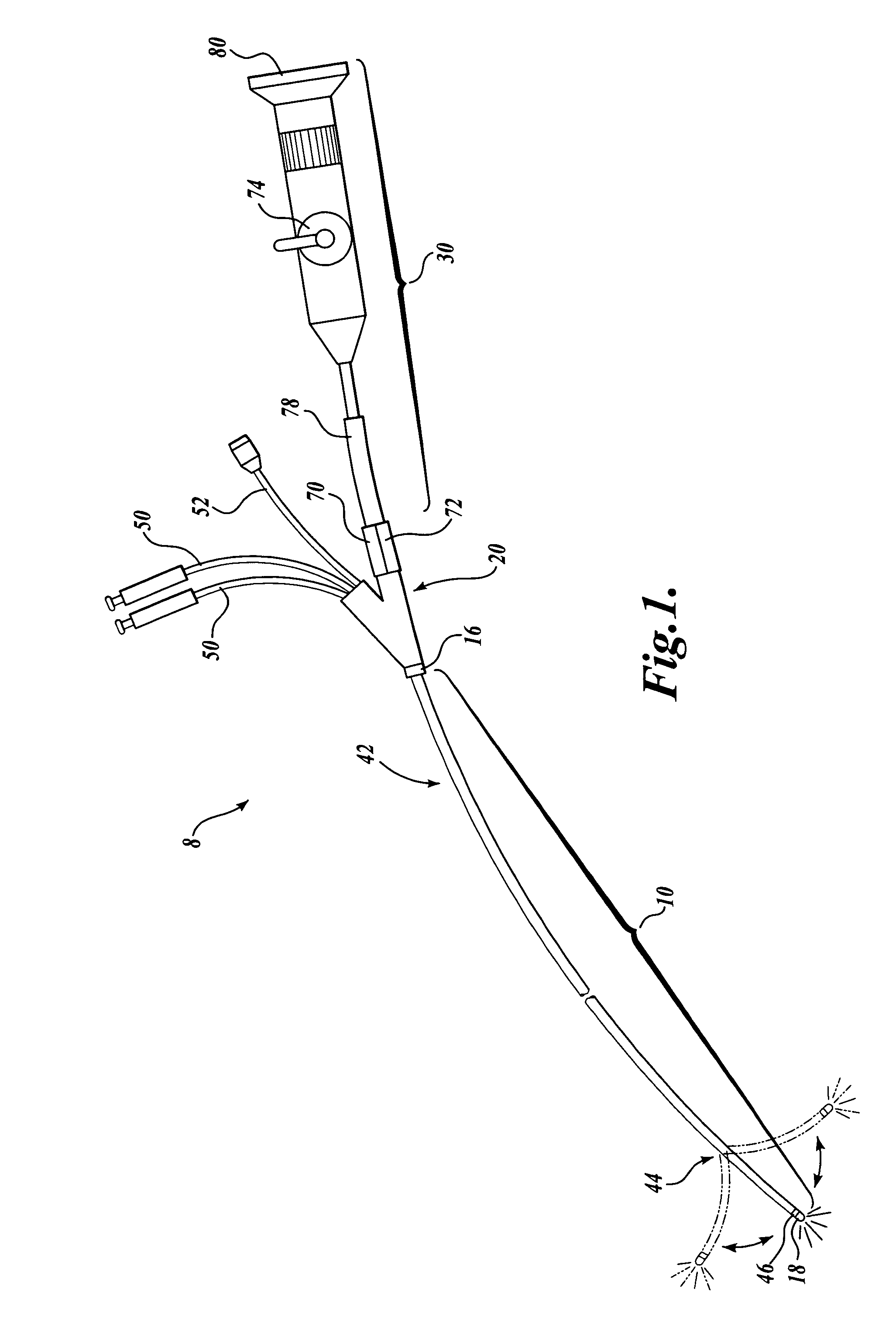 Medical visualization system with endoscope and mounted catheter