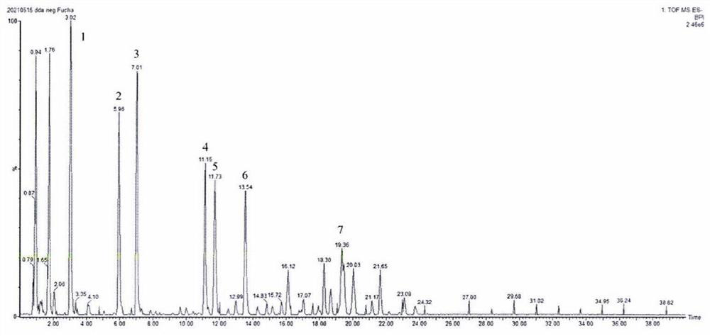 Tea extract composition as well as preparation method and application thereof