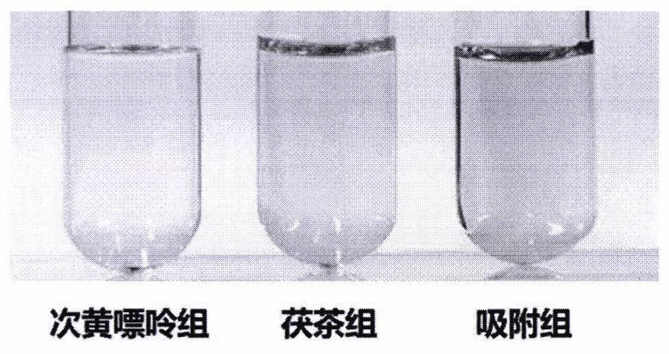 Tea extract composition as well as preparation method and application thereof