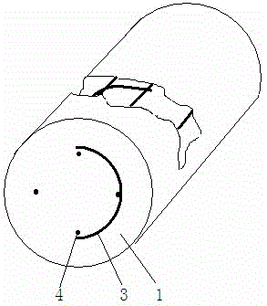 Plant fiber extruded product with internal weft ribs, extruder and production method