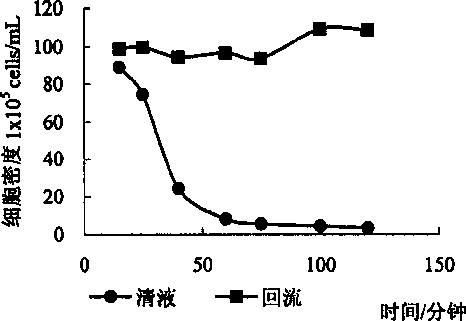 Cell depositing interception device of hematopoietic cell continuous perfusion suspended culture