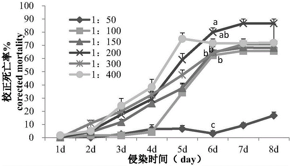 Method for preventing and curing Bradysia odoriphaga by jointly applying entomopathogenic nematodes and chemical pesticides