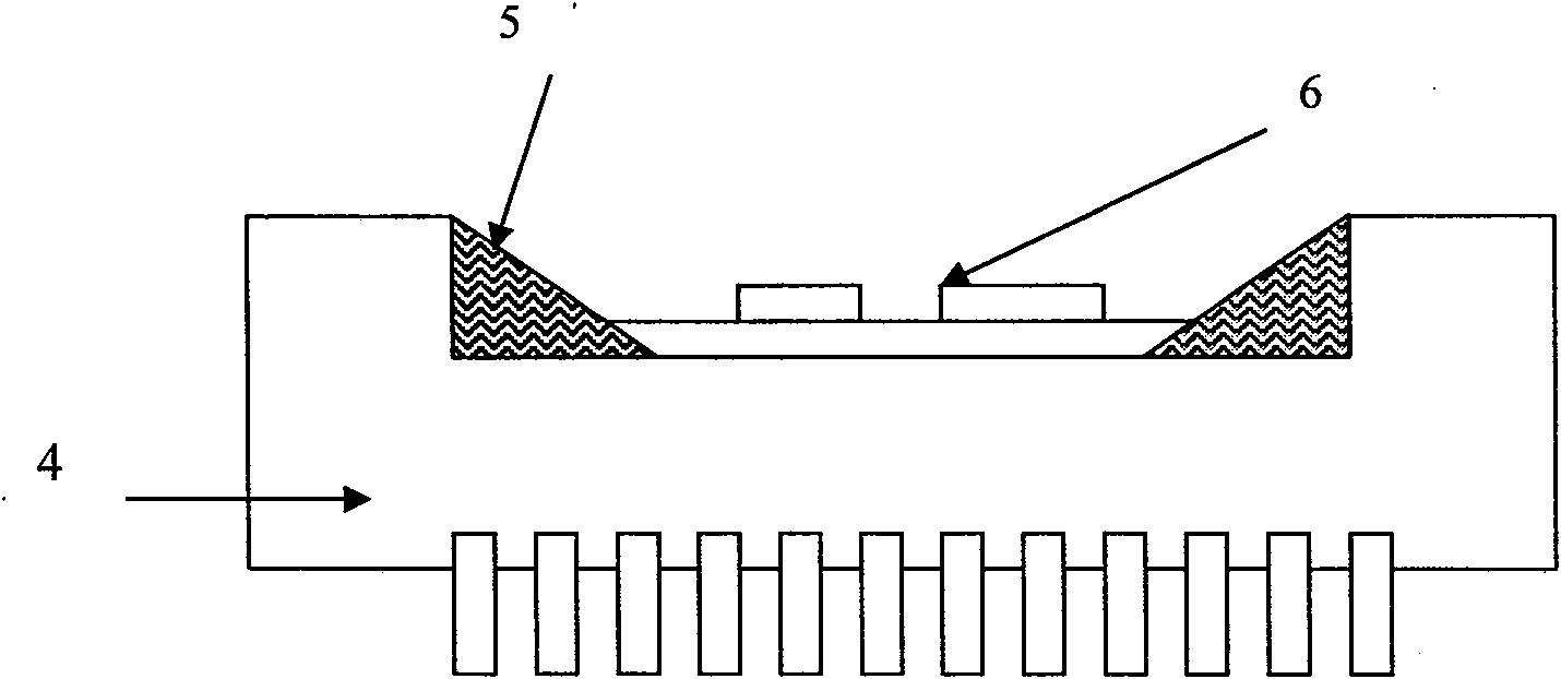 Microelectrode array chip sensor for electrochemical immunological detection