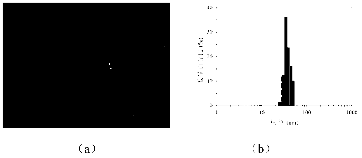 Reduction sensitive type polyethylene glycol-medicament conjugate and preparation method thereof