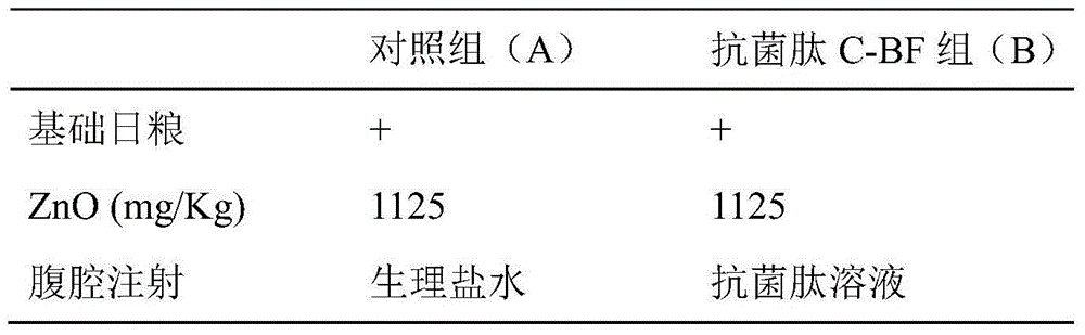 Application of antibacterial peptide C-BF in preparation of medicines for preventing and treating weanling stress of piglets