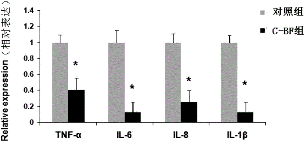 Application of antibacterial peptide C-BF in preparation of medicines for preventing and treating weanling stress of piglets