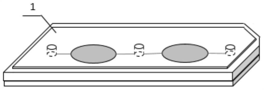 Microfluidic radiation damage biological dosimetry detection device and its detection and analysis method based on luminescent bacteria