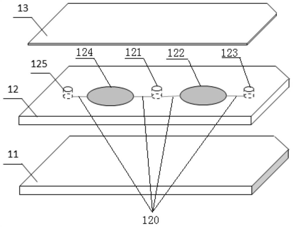 Microfluidic radiation damage biological dosimetry detection device and its detection and analysis method based on luminescent bacteria