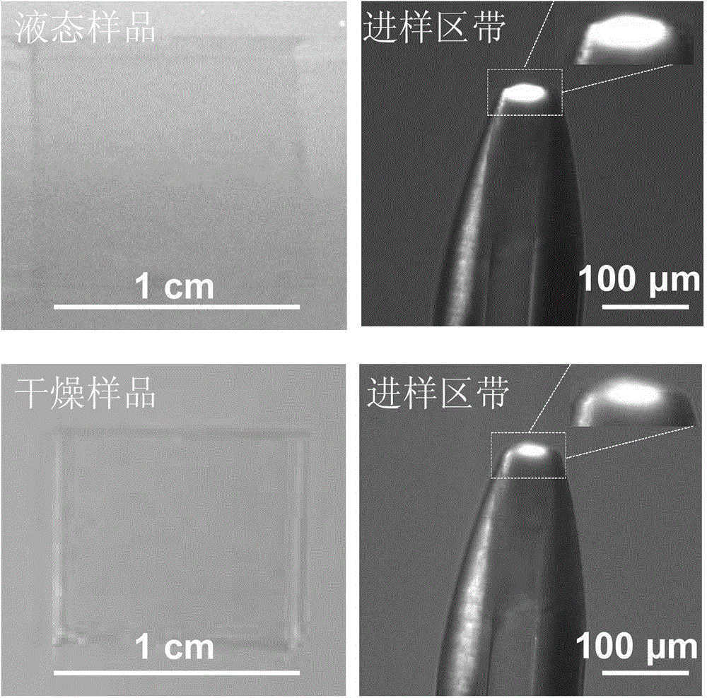 Micron-sized zone sampling method and device suitable for capillary tube