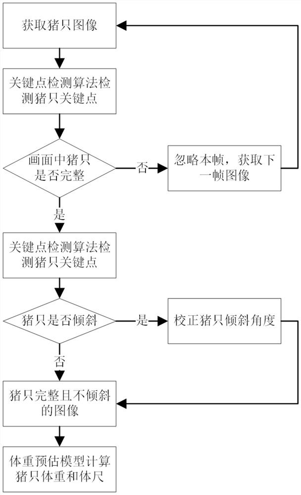 Pig body size and weight estimation method based on deep learning