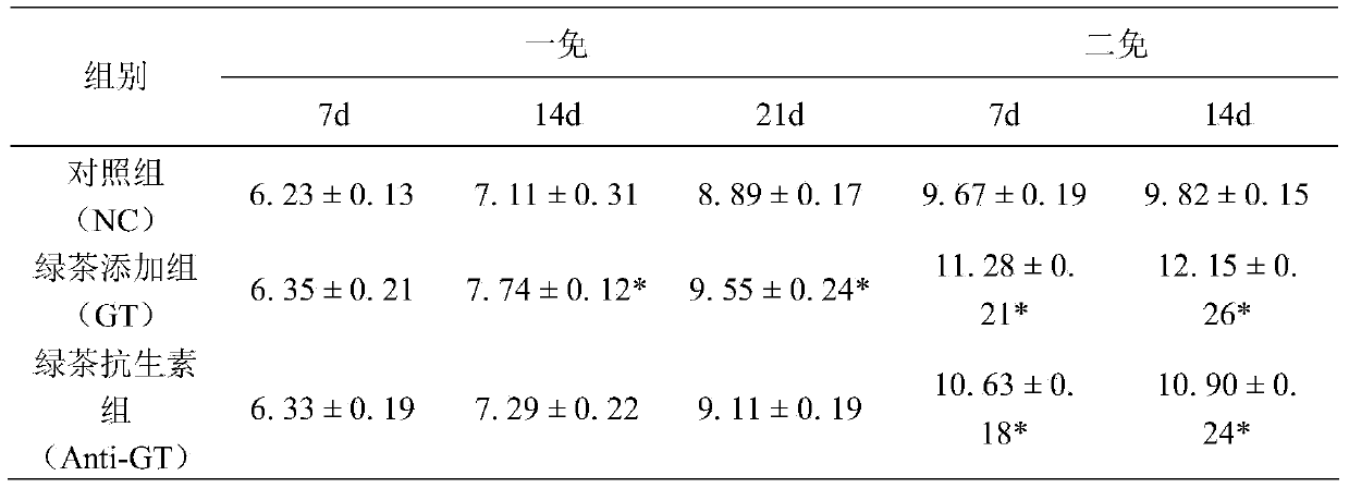 Green tea composite chicken feed additive capable of enhancing immunity of chickens