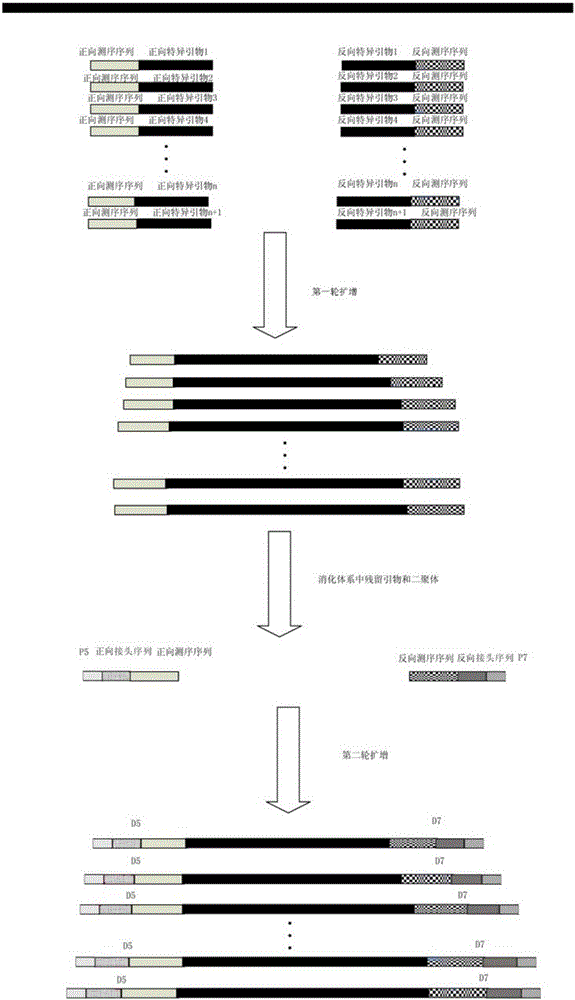 Method for constructing high-throughput sequencing library and kit