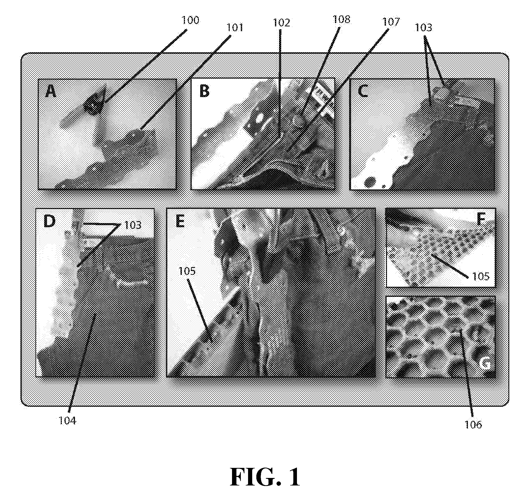 Method of distressing a garment