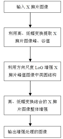 Suspected lung nodule image enhancement directional scale filtering method