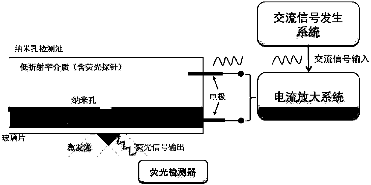 Nano-pore single-molecule fluorescence imaging device and method under alternating current mode