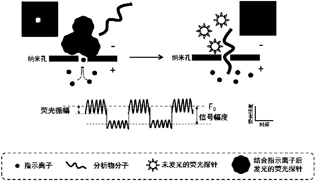 Nano-pore single-molecule fluorescence imaging device and method under alternating current mode