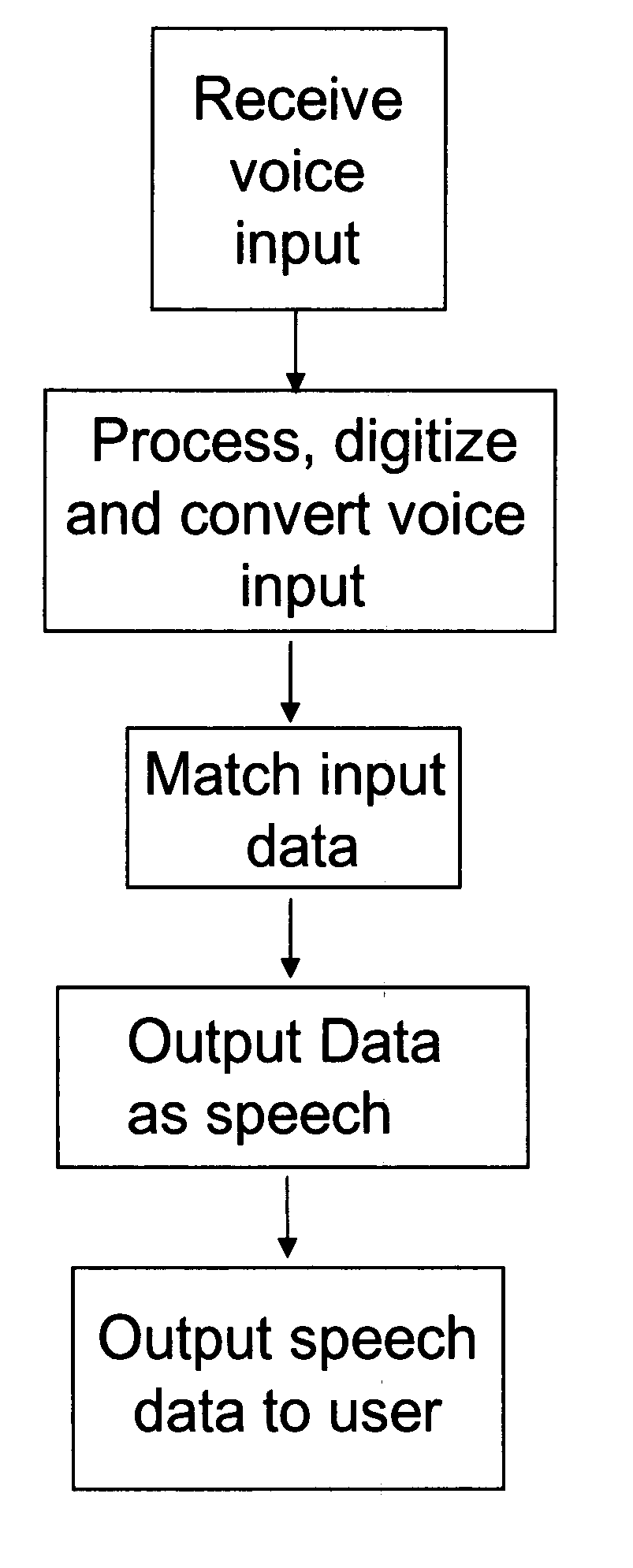 Computer voice recognition apparatus and method