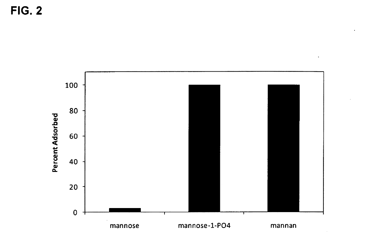 Adjuvant System for Vaccine Administration