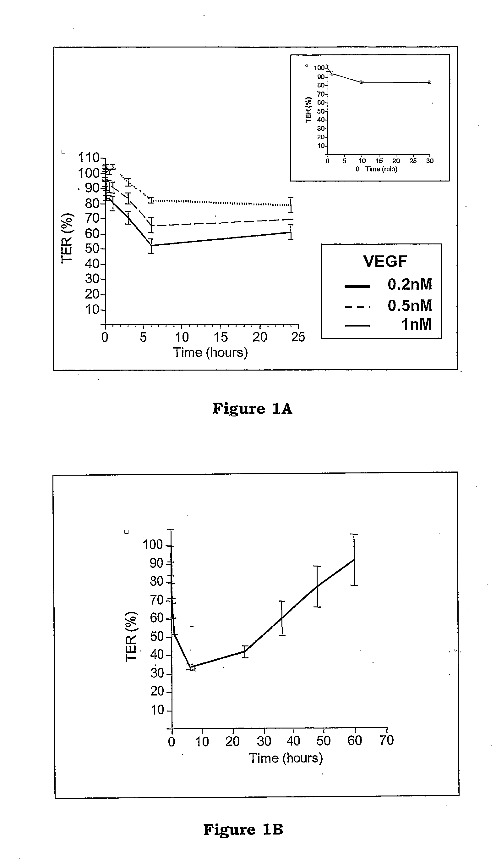 Modulating Retinal Pigmented Epithelium Permeaion By Inhibiting Or Activating VEGFR-1