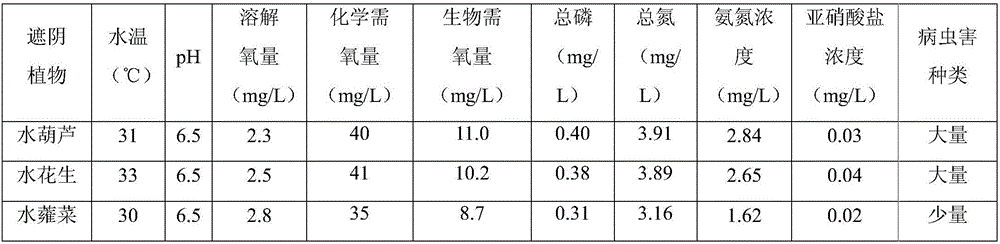 Method of culturing finless eel using floating bed net cage for shading vegetable