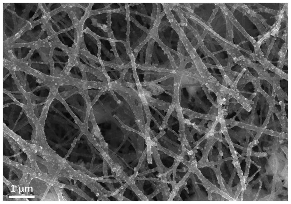 Self-supporting iron trifluoride-carbon nanofiber positive electrode material and preparation method thereof