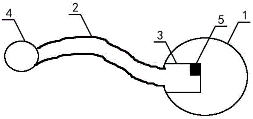 Snake venom sucking apparatus