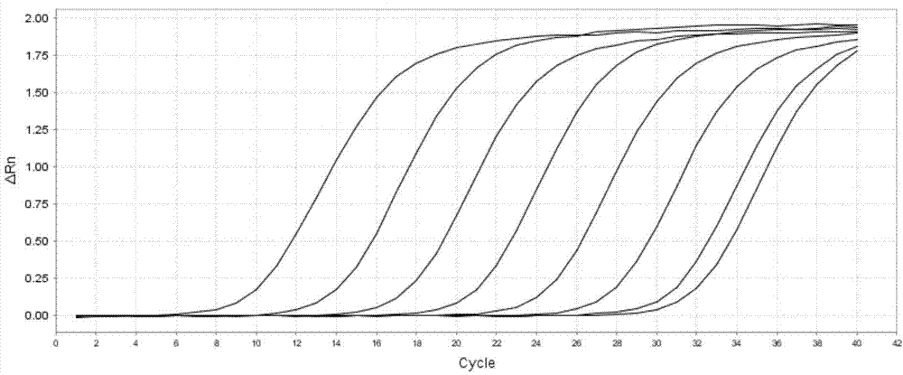 Triple fluorescent RT-PCR (Reverse Transcription-Polymerase Chain Reaction) detection reagent for African swine fever viruses, swine fever viruses and respiratory syndrome viruses and preparation method and application thereof