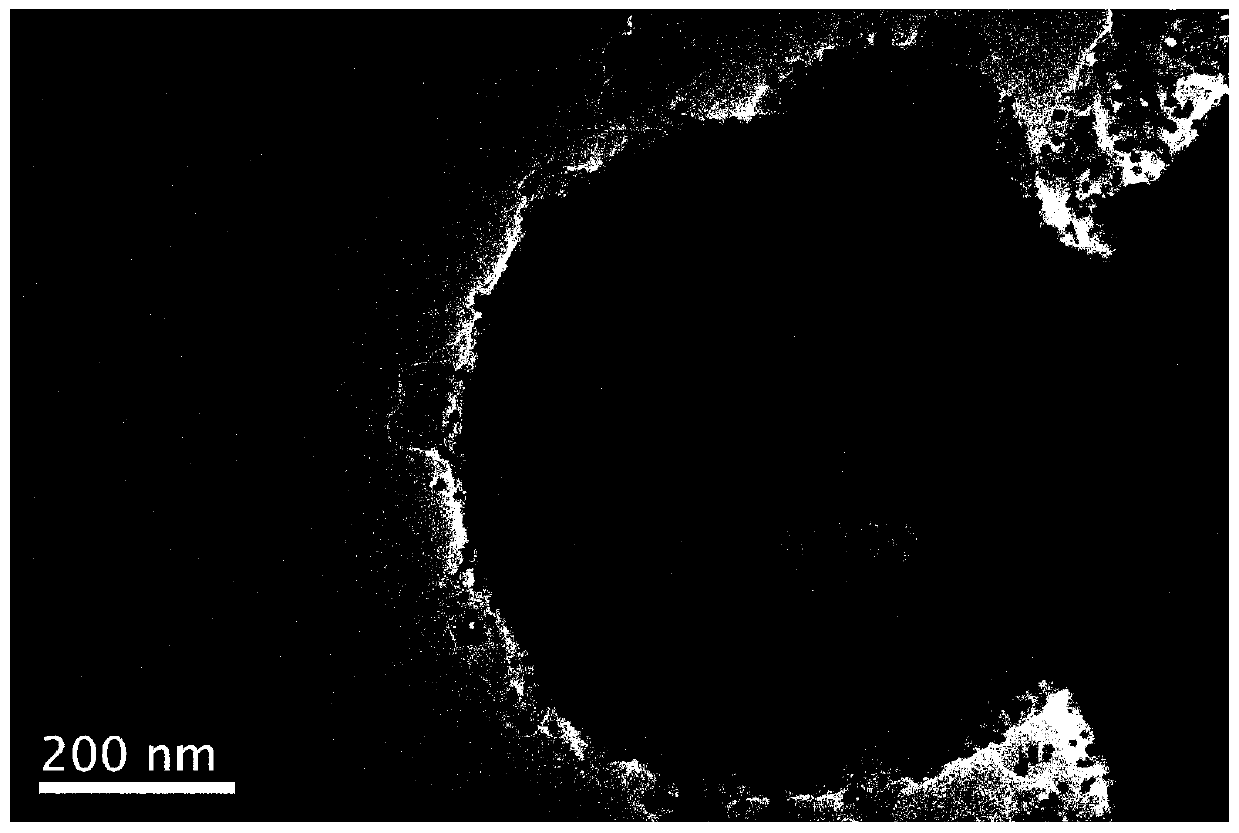 Ni2P/NC catalyst, and preparation method and application thereof