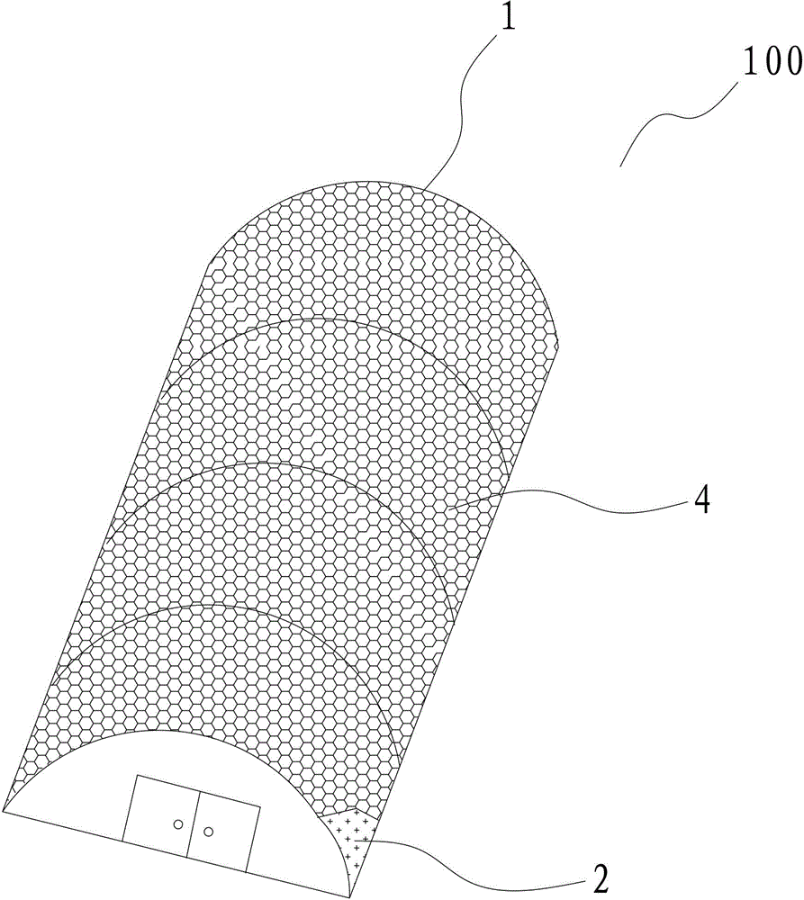 Greenhouse planting method of dendrobium officinale