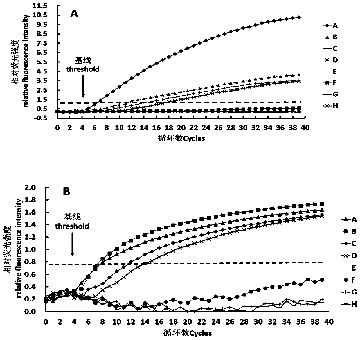 RPA primer composition and method for detecting shiga toxin-producing Escherichia coli