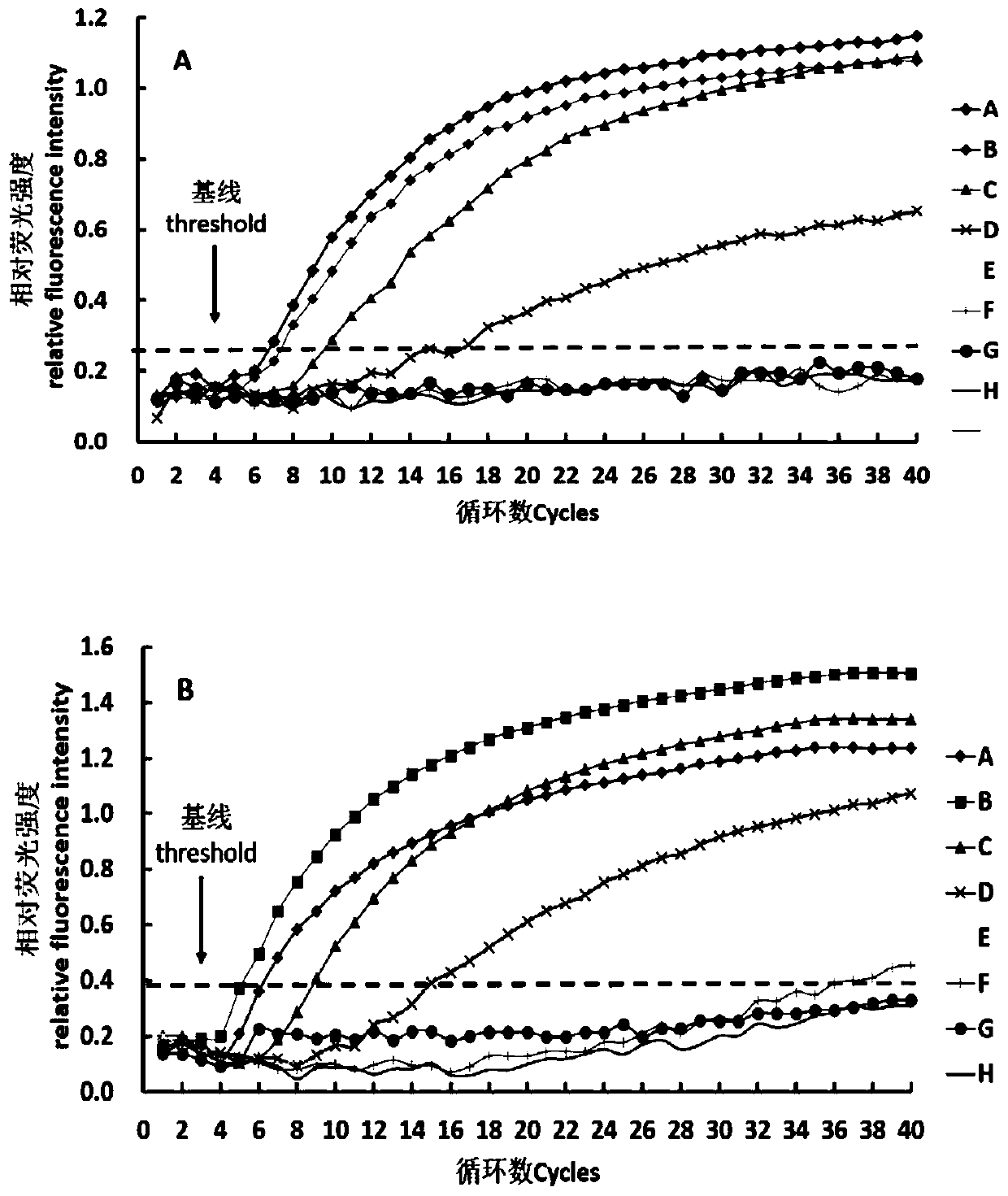 RPA primer composition and method for detecting shiga toxin-producing Escherichia coli