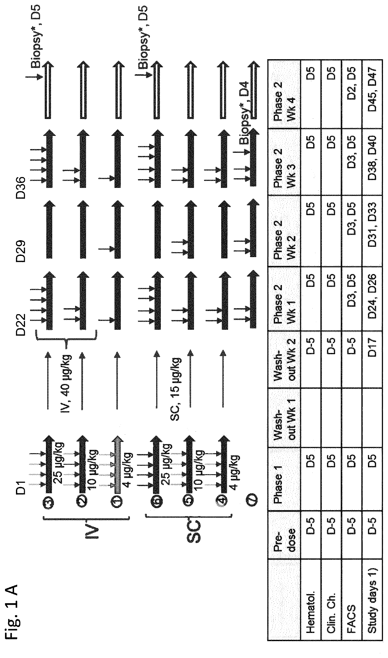 Il-2/il-15r beta gamma agonist dosing regimens for treating cancer or infectious diseases