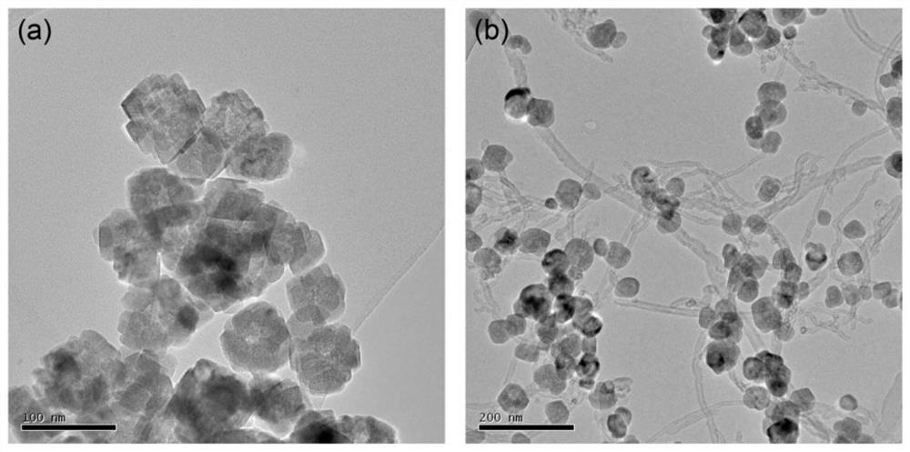 Self-assembled amino acid derivative functionalized magnetic-carbon nanotube composite material and its preparation method and application