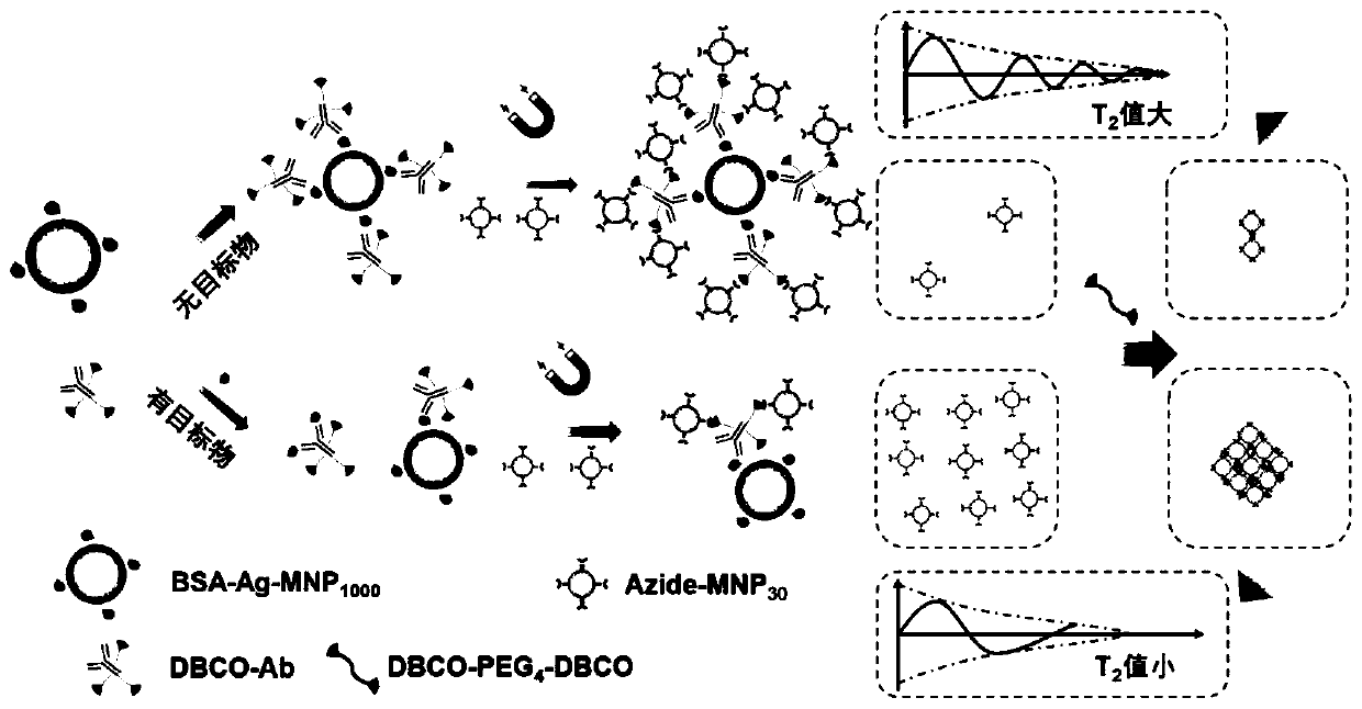 Method for detecting pesticide residues by using magnetic relaxation time sensor based on quantity and state change of nano magnetic particles