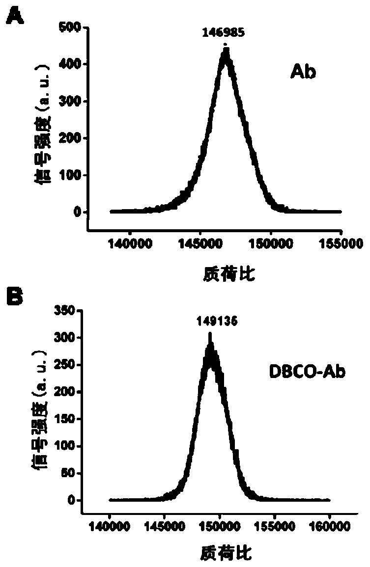 Method for detecting pesticide residues by using magnetic relaxation time sensor based on quantity and state change of nano magnetic particles