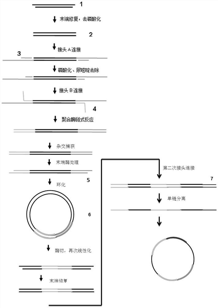 A linker element and method for constructing sequencing library using same