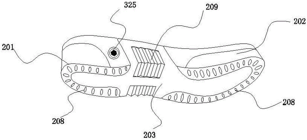 Functional shoes capable of correcting and treating pes supinatus ectropion